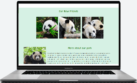 Panda sanctuary website, a project example.